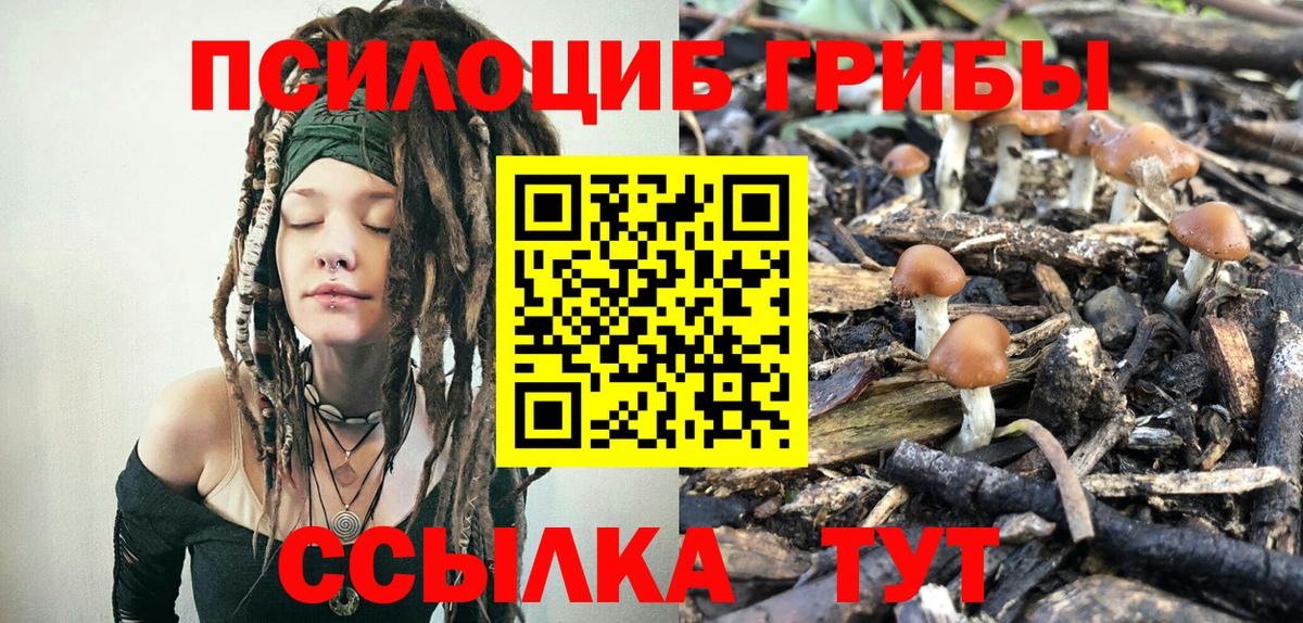 Пенза  Галлюциногенные грибы прущие грибы  Вход с VPN 